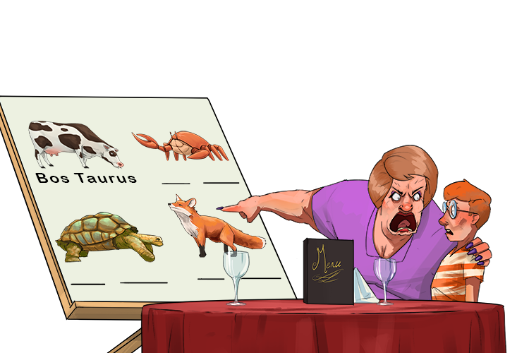 I will buy no meals for you until you use this system (binomial system) to name each species with a two-part name